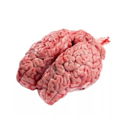 Beef Brain