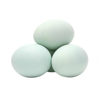 Duck Eggs